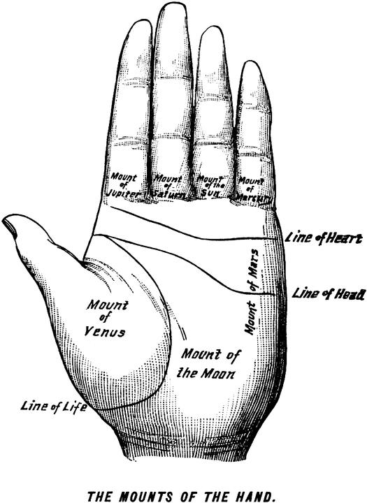 Palm lines diagram